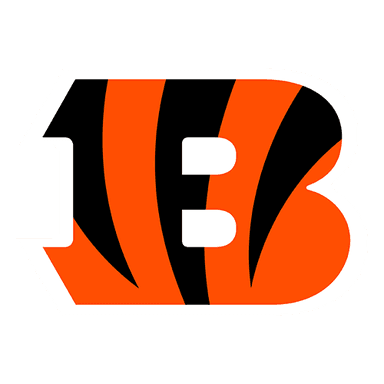 CIN logo